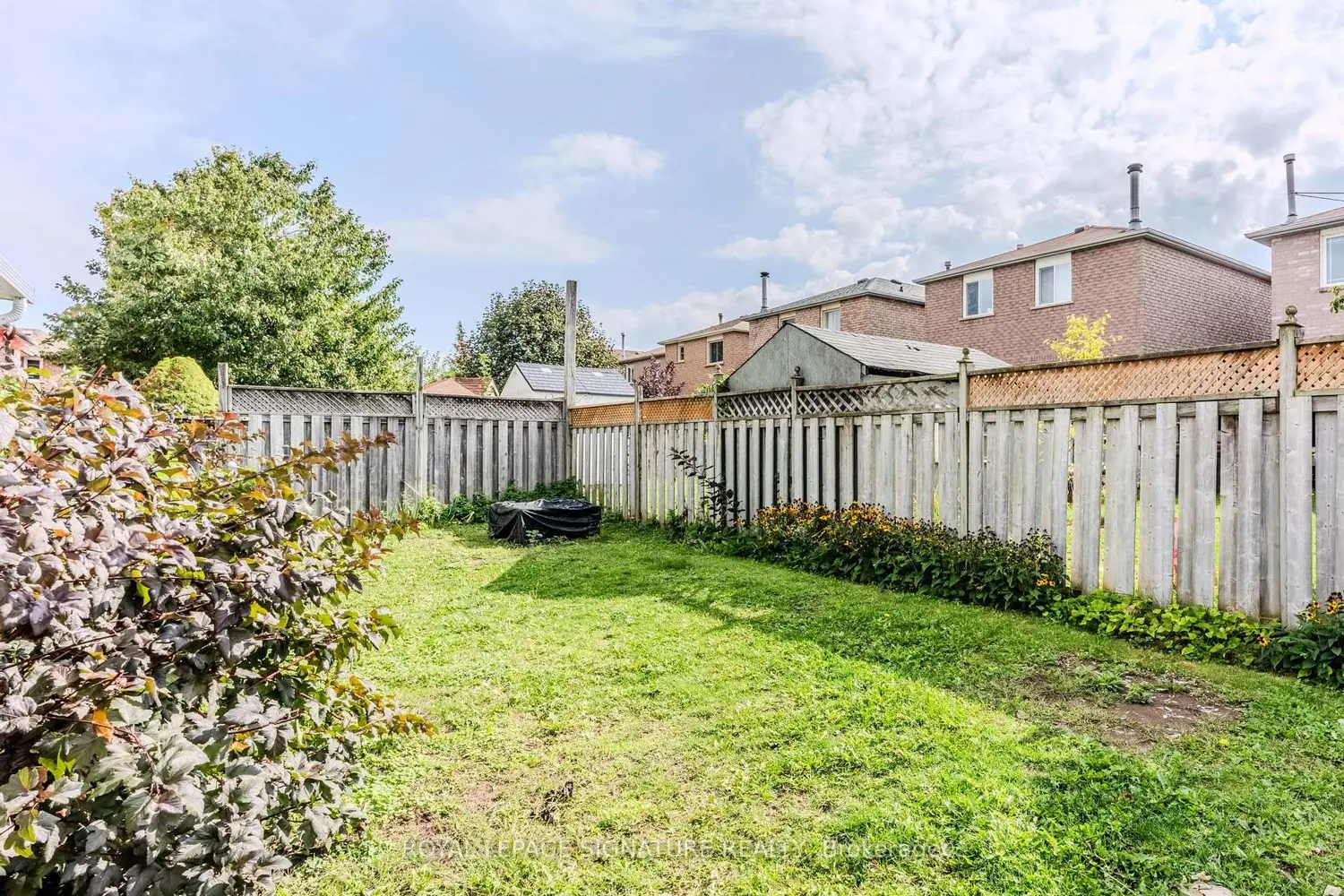 Additional image 19 of 341 Livingstone Street