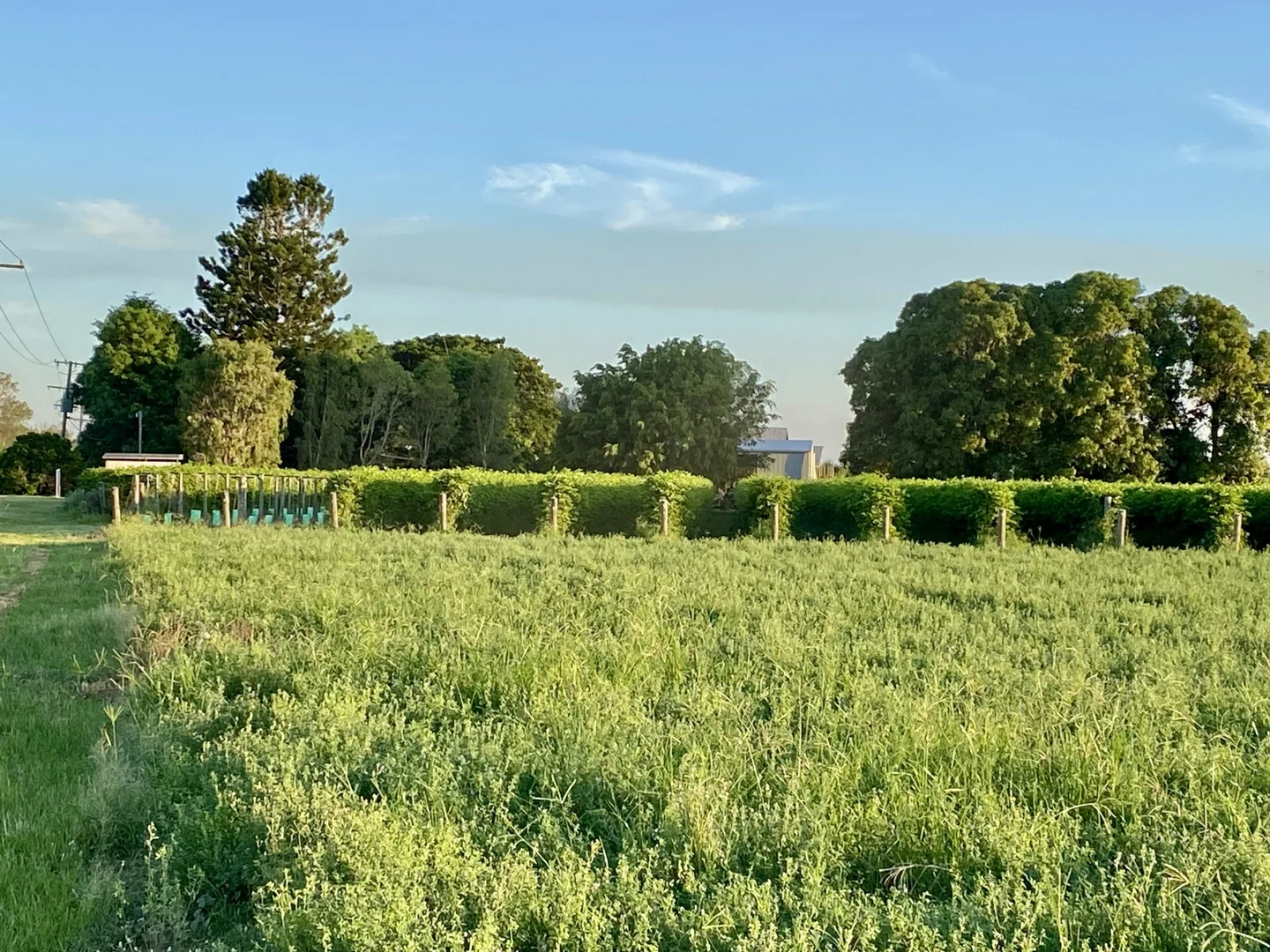 Additional image 8 of 5806 Ayr Dalbeg Road, Millaroo QLD 4807