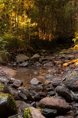 Additional image 25 of 121 Old Maleny Road, Landsborough QLD 4550