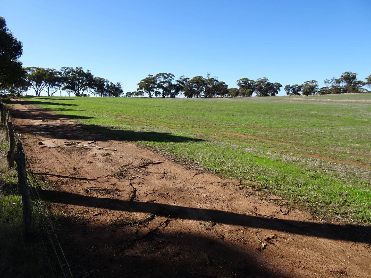 Additional image 19 of Shaddick Road, East Pingelly WA 6308