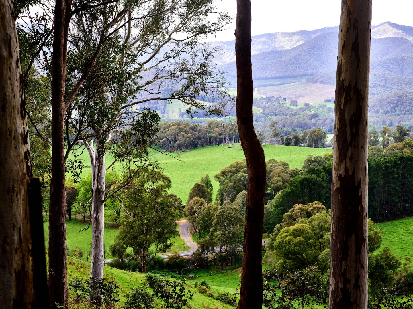 Additional image 27 of 451 Mount Buffalo Road, Porepunkah VIC 3740