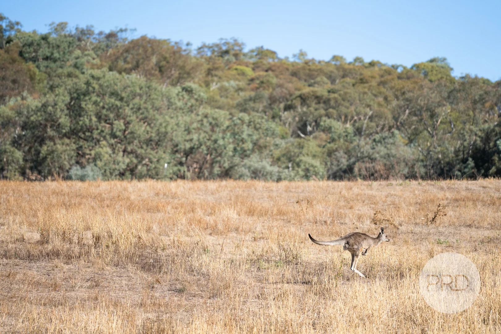 Additional image 7 of 827-841 Centaur Road, Hamilton Valley NSW 2641