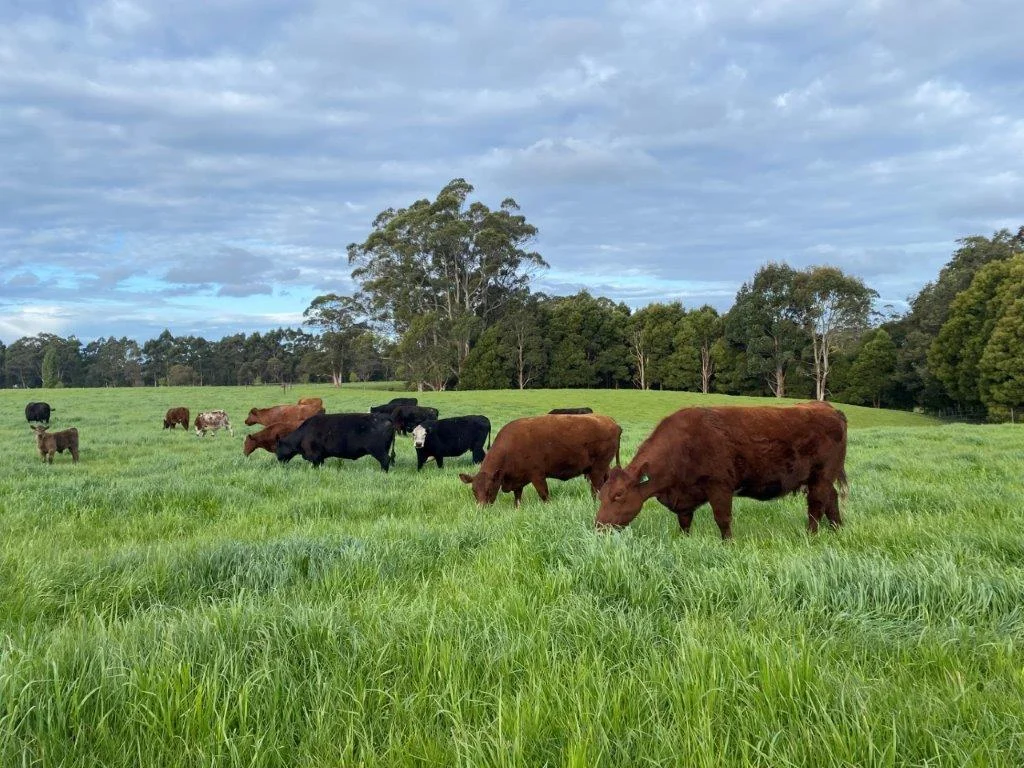 Additional image 3 of 16463 Bass Highway, Wynyard TAS 7325