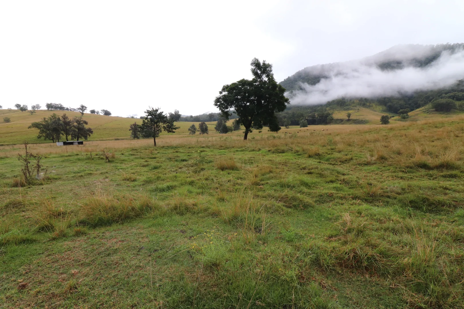 Additional image 8 of 95 Smiths Creek Road, Lower Creek NSW 2440