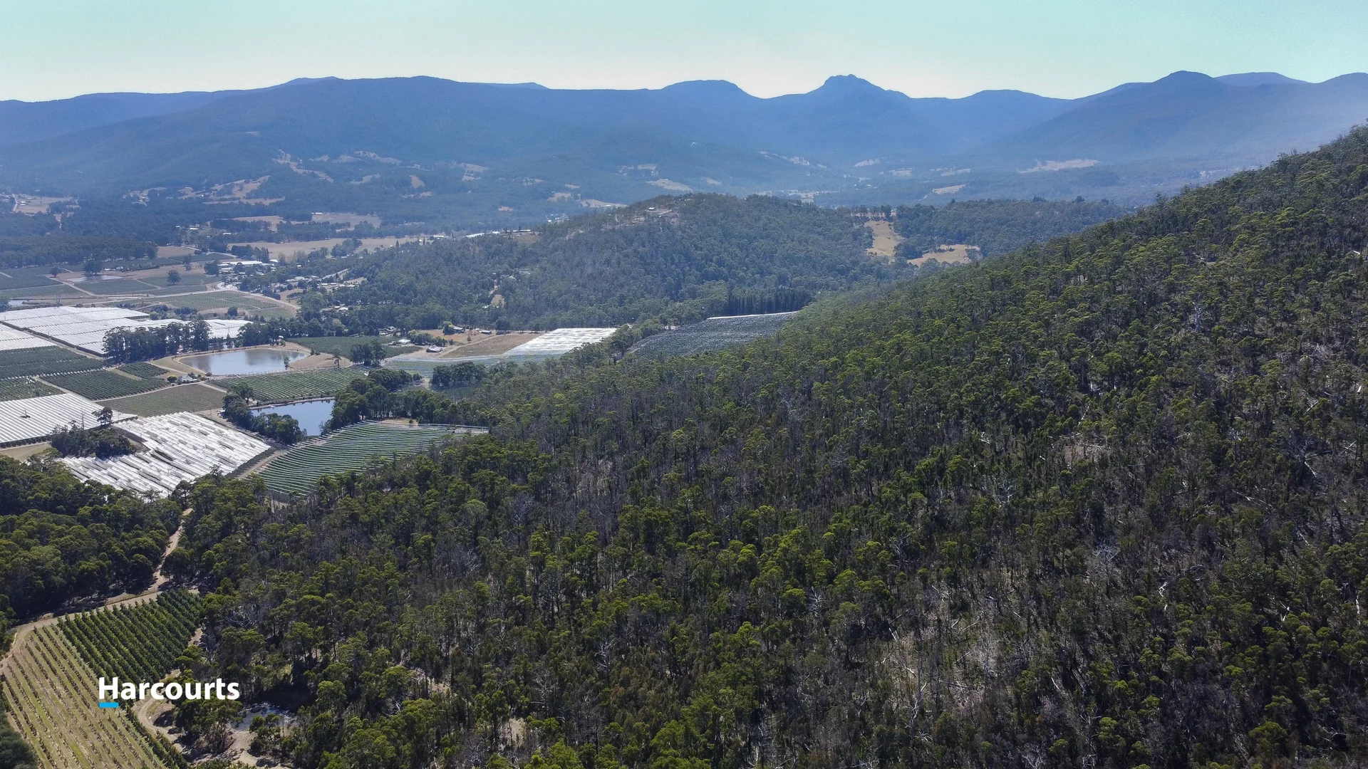 Additional image 10 of RA Basin Road, Grove TAS 7109