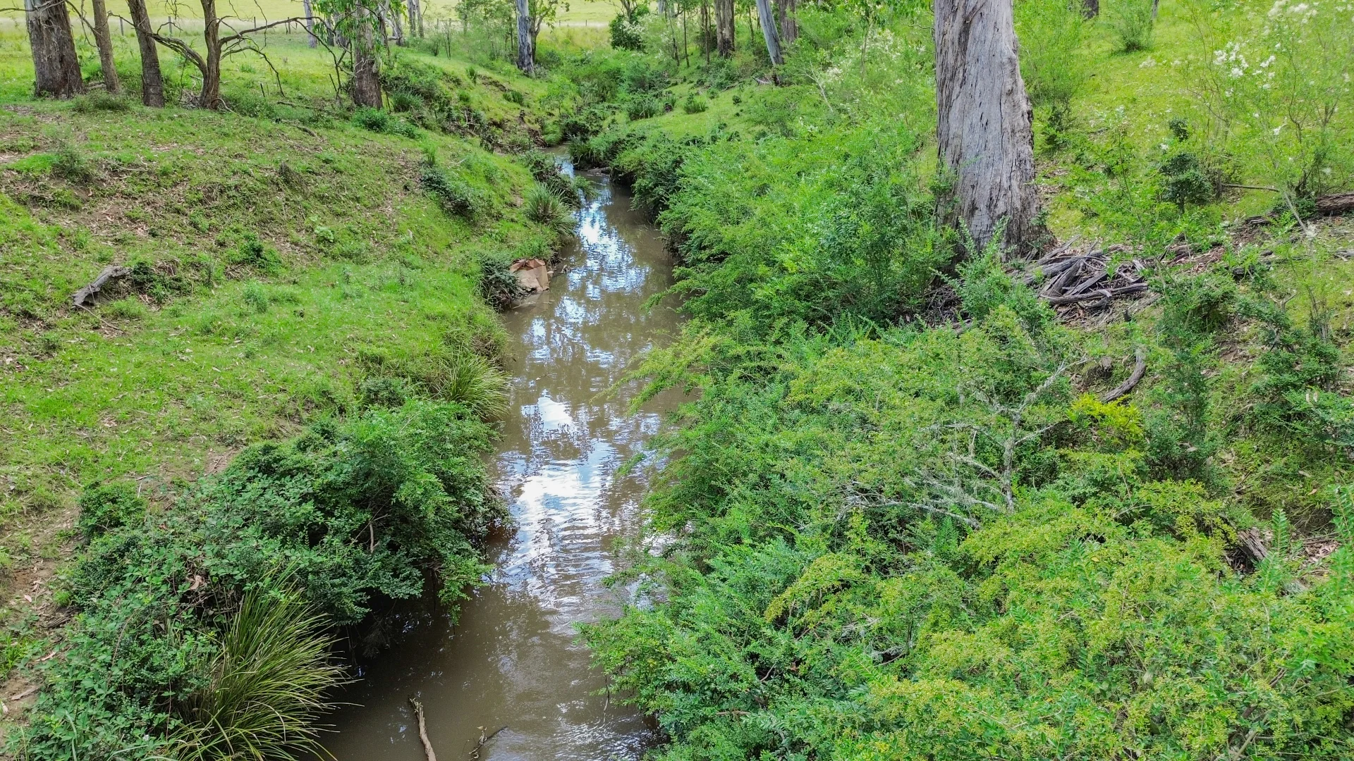 Additional image 3 of 80 Tooloom Street, Legume NSW 2476