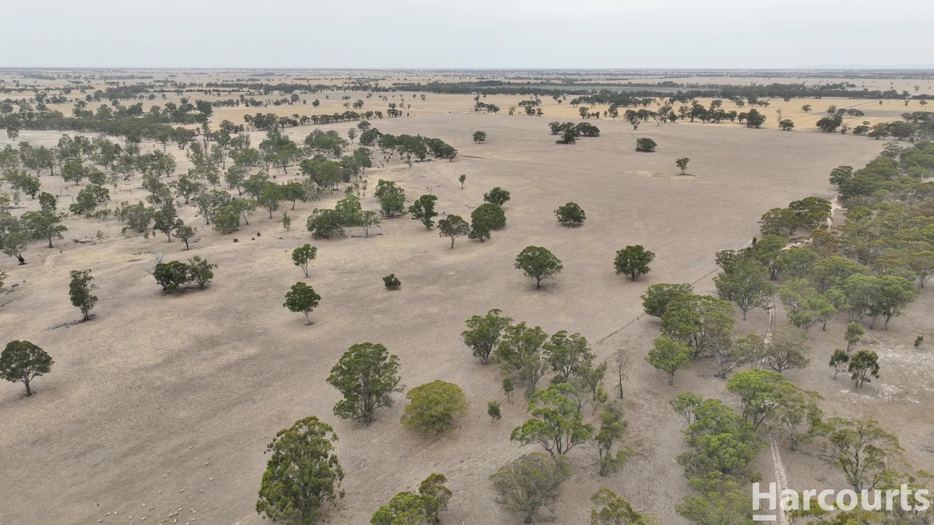 Additional image 16 of . Elliots Lane, Clear Lake VIC 3409