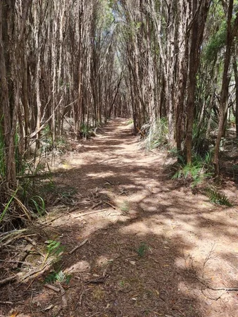 Additional image 2 of 1038 Pegarah Road, Naracoopa TAS 7256