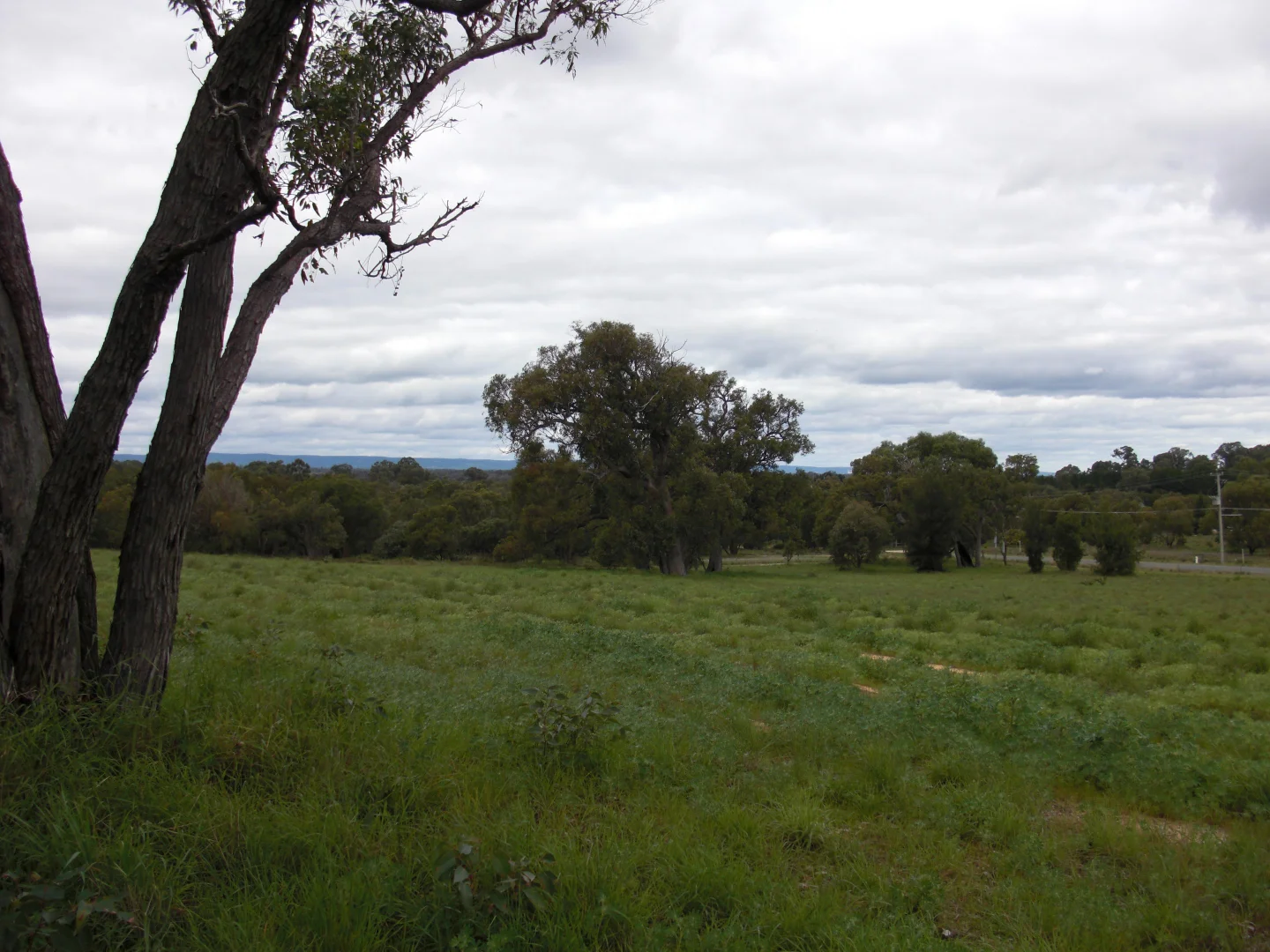 Additional image 10 of Lot 472 Mallee Drive, Karnup WA 6176