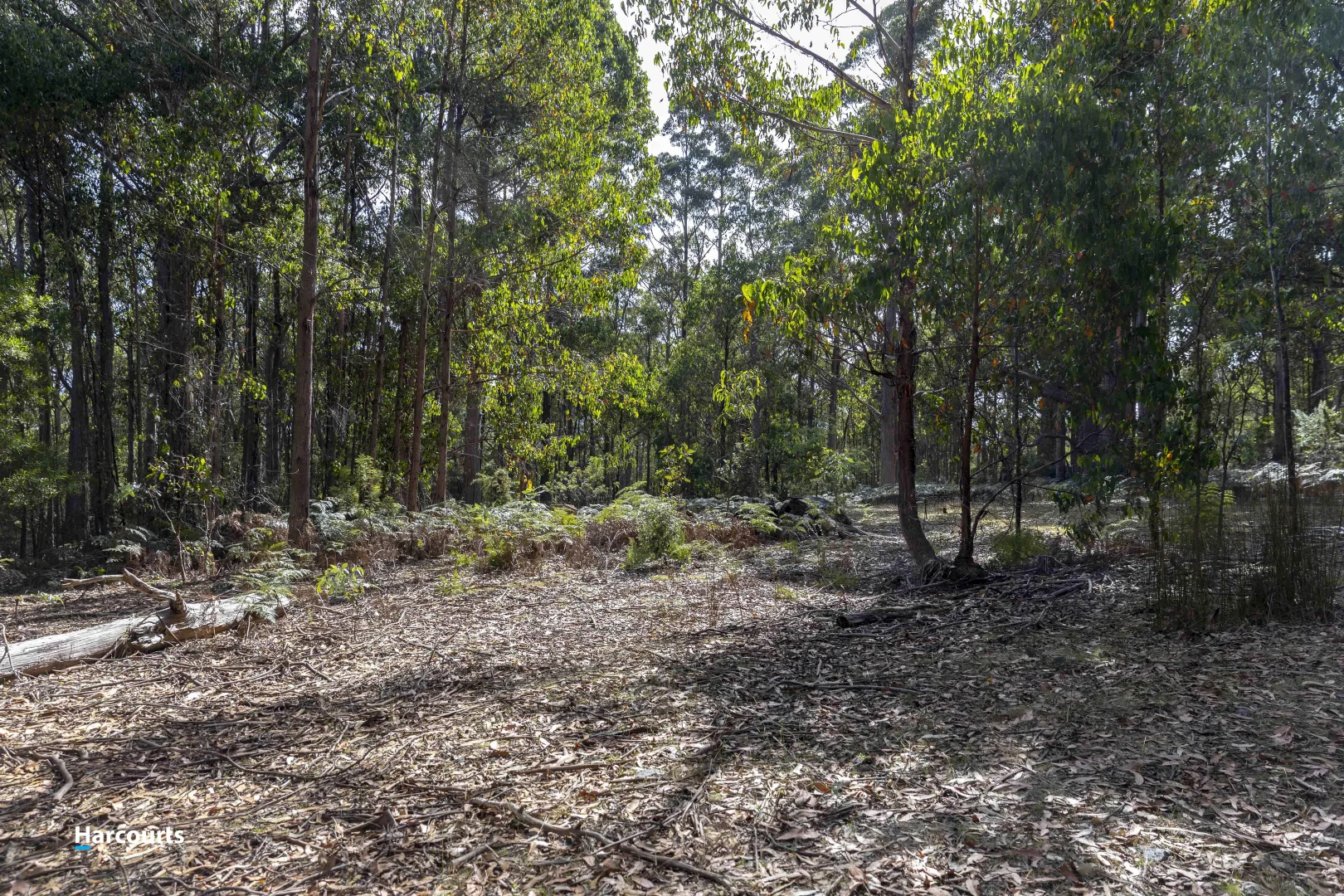 Additional image 29 of RA Basin Road, Grove TAS 7109