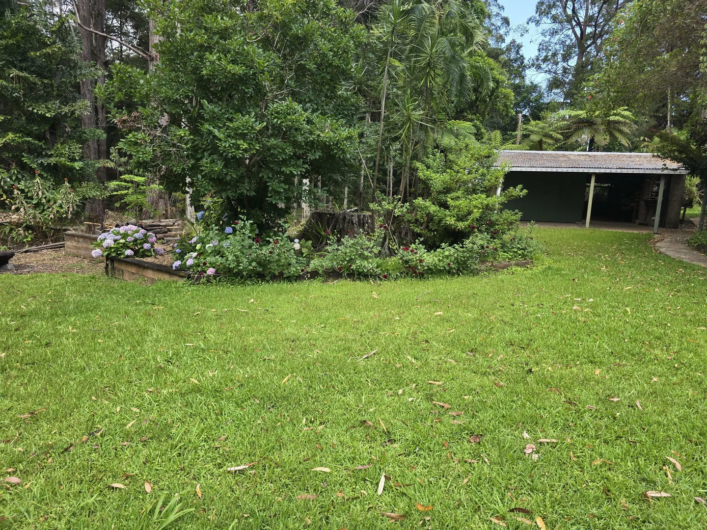 Additional image 22 of 145-159 Archville Station Rd, Bonville NSW 2450