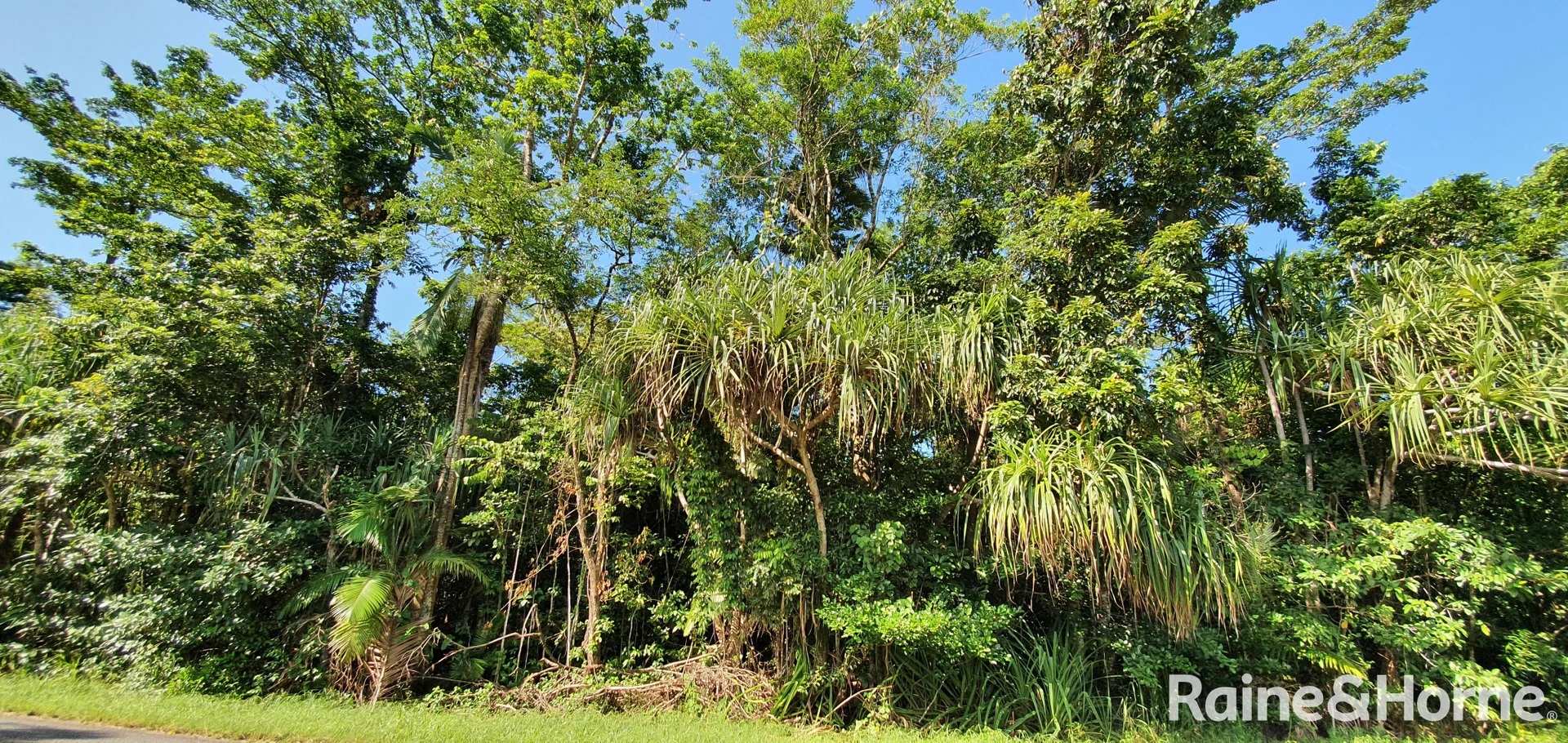 Additional image 25 of Lot 81 Cape Tribulation Road, DIWAN,, Daintree QLD 4873