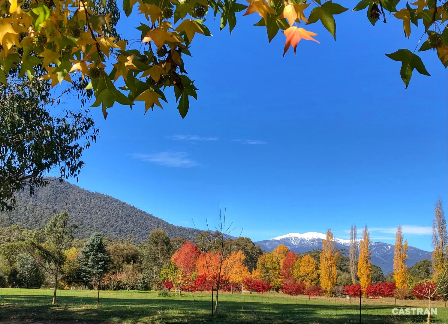 Additional image 26 of 1057 Great Alpine Road, Freeburgh VIC 3741