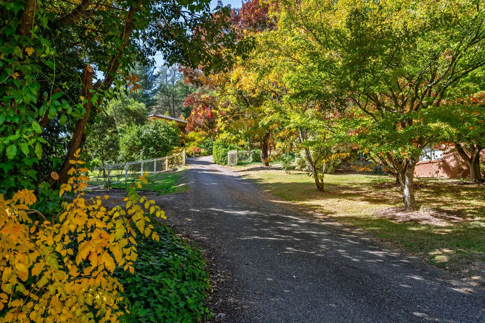 Additional image 40 of 22 Alrima Court, Bright VIC 3741