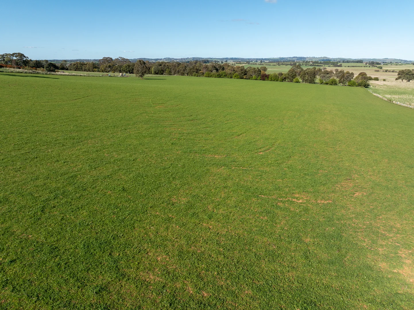 Additional image 14 of 640 Tallwood Road, Forest Reefs NSW 2798