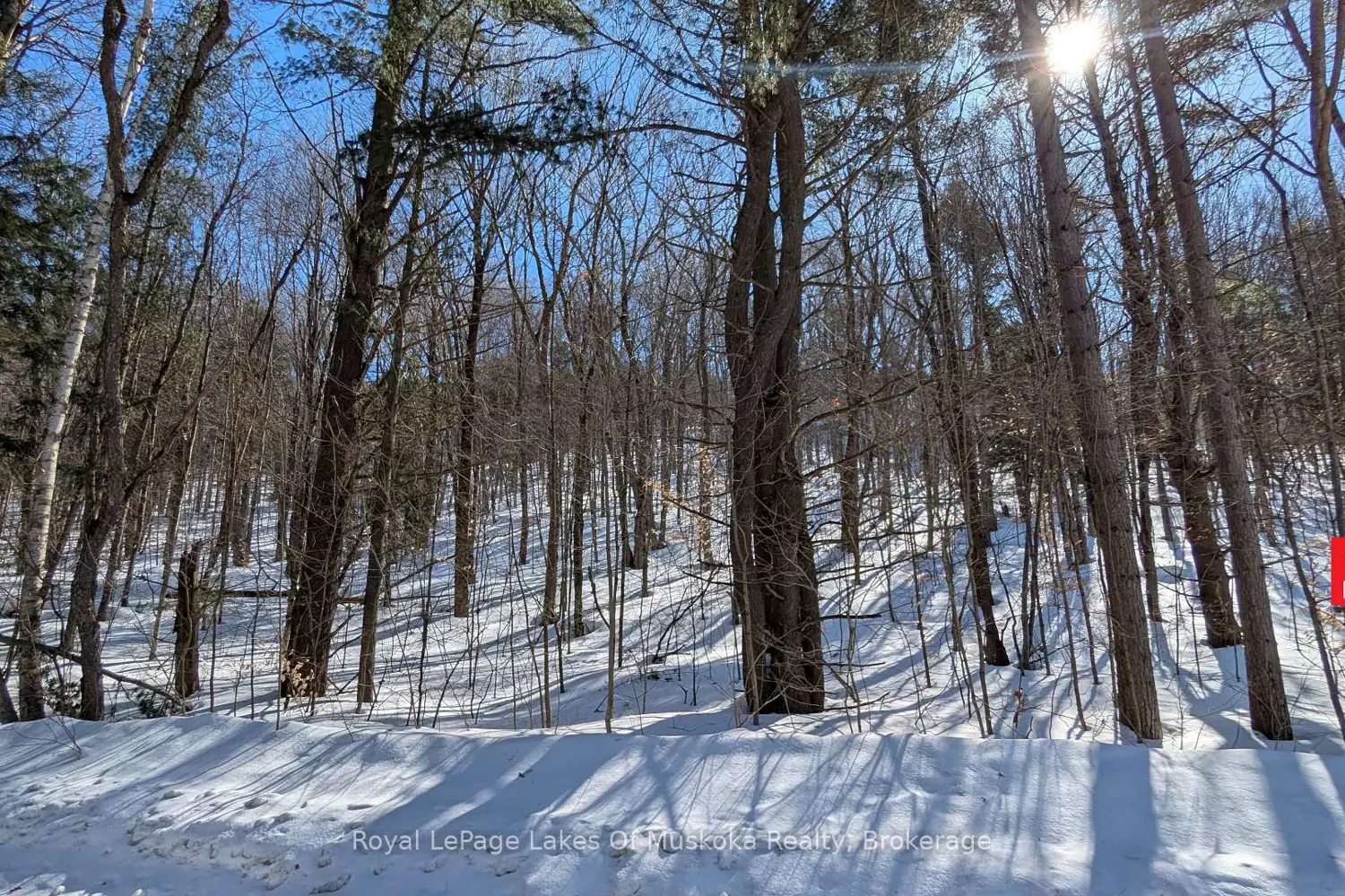 Additional image 2 of 0 Rosseau Lake Rd 1