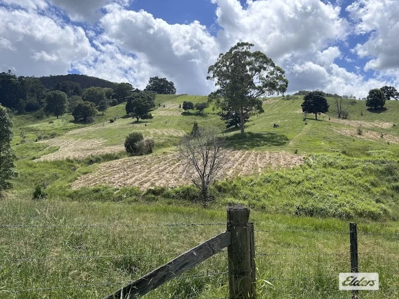 Additional image 11 of 155 Vidoni Road, Mount Delaney QLD 4514