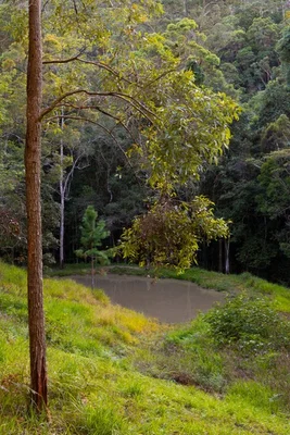 Additional image 26 of 121 Old Maleny Road, Landsborough QLD 4550
