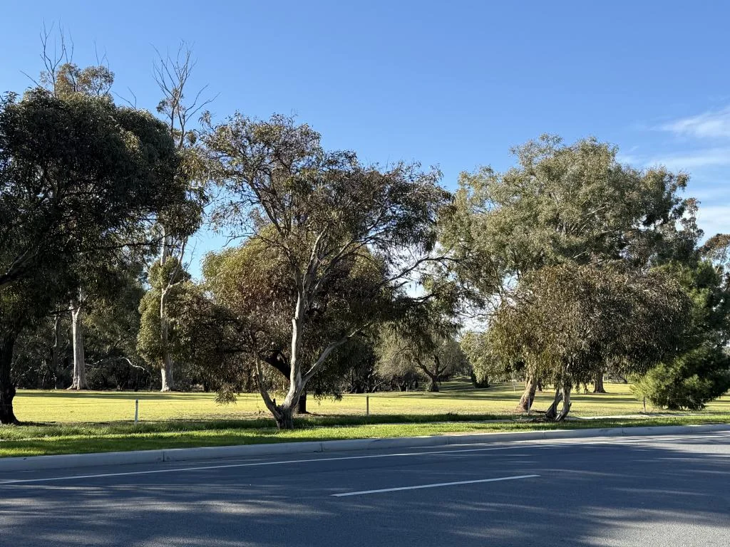 Additional image 4 of 144 Jerilderie Street, Jerilderie NSW 2716