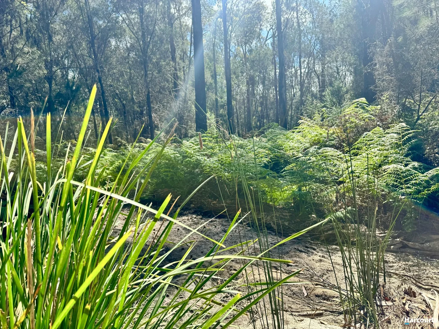 Additional image 2 of 311 Medeas Cove Road, St Helens TAS 7216