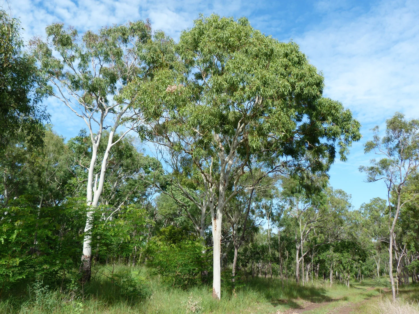 Additional image 12 of Notch Point Road, Ilbilbie QLD 4738
