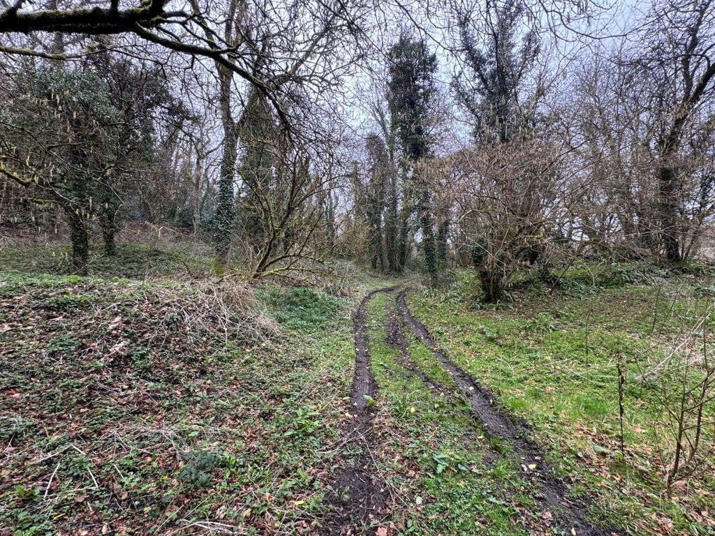 Additional image 4 of Land for saleSouth Tawton, Okehampton, Devon EX20