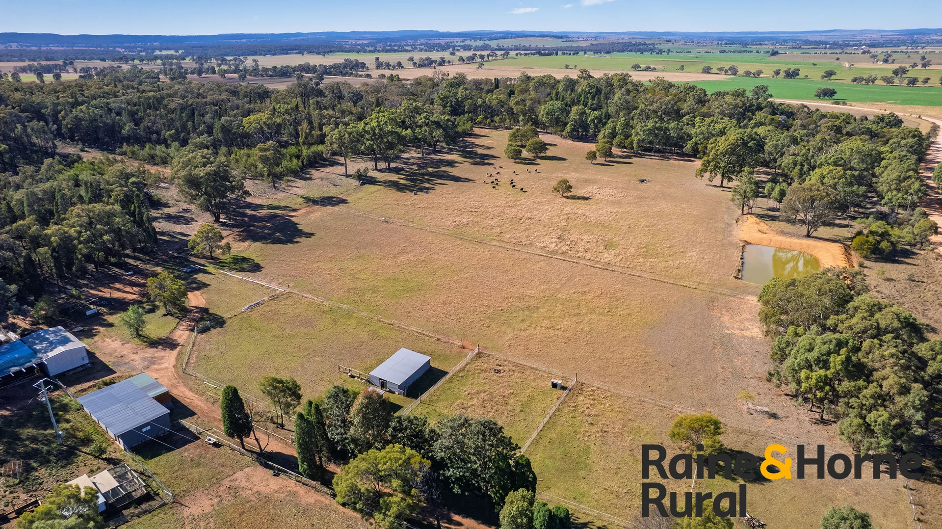 Additional image 3 of 502 Patrick Road, Dunedoo NSW 2844