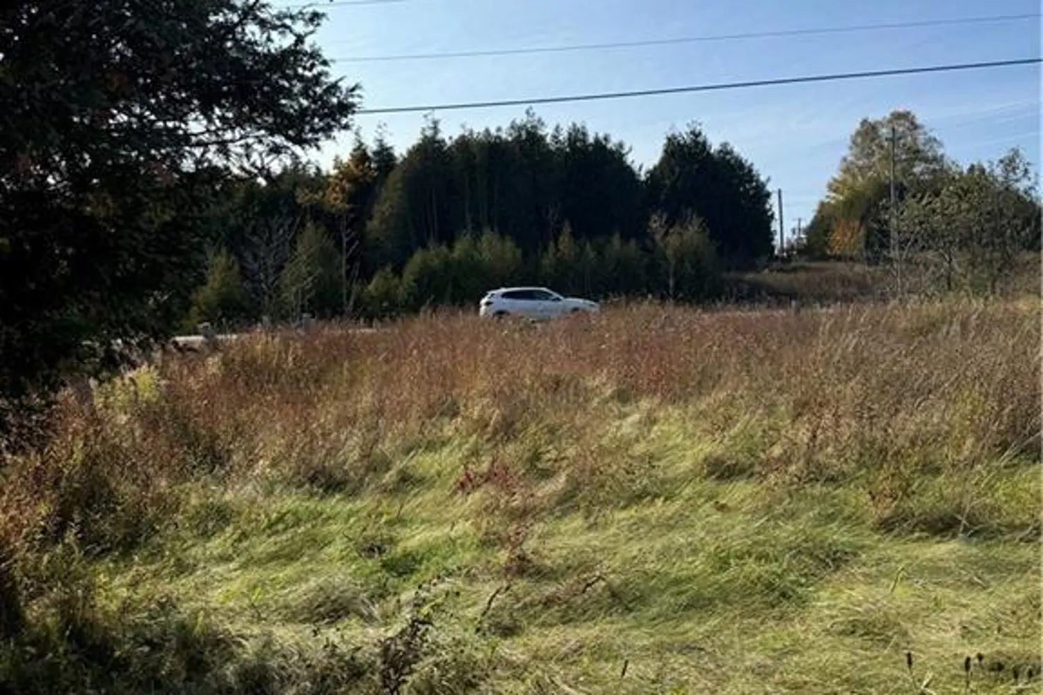 Additional image 5 of 3288 Hwy 6