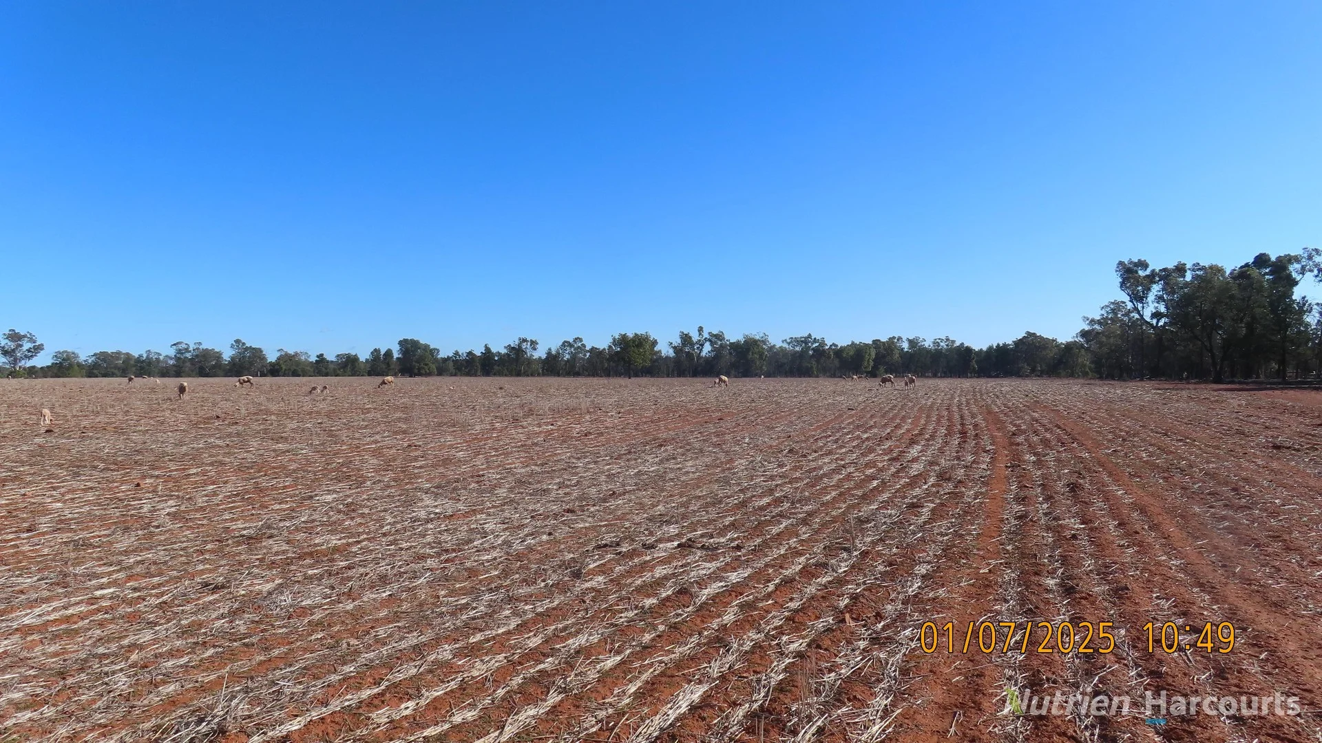 * KALLARA, 881 Kallara Road, Hermidale NSW 2831