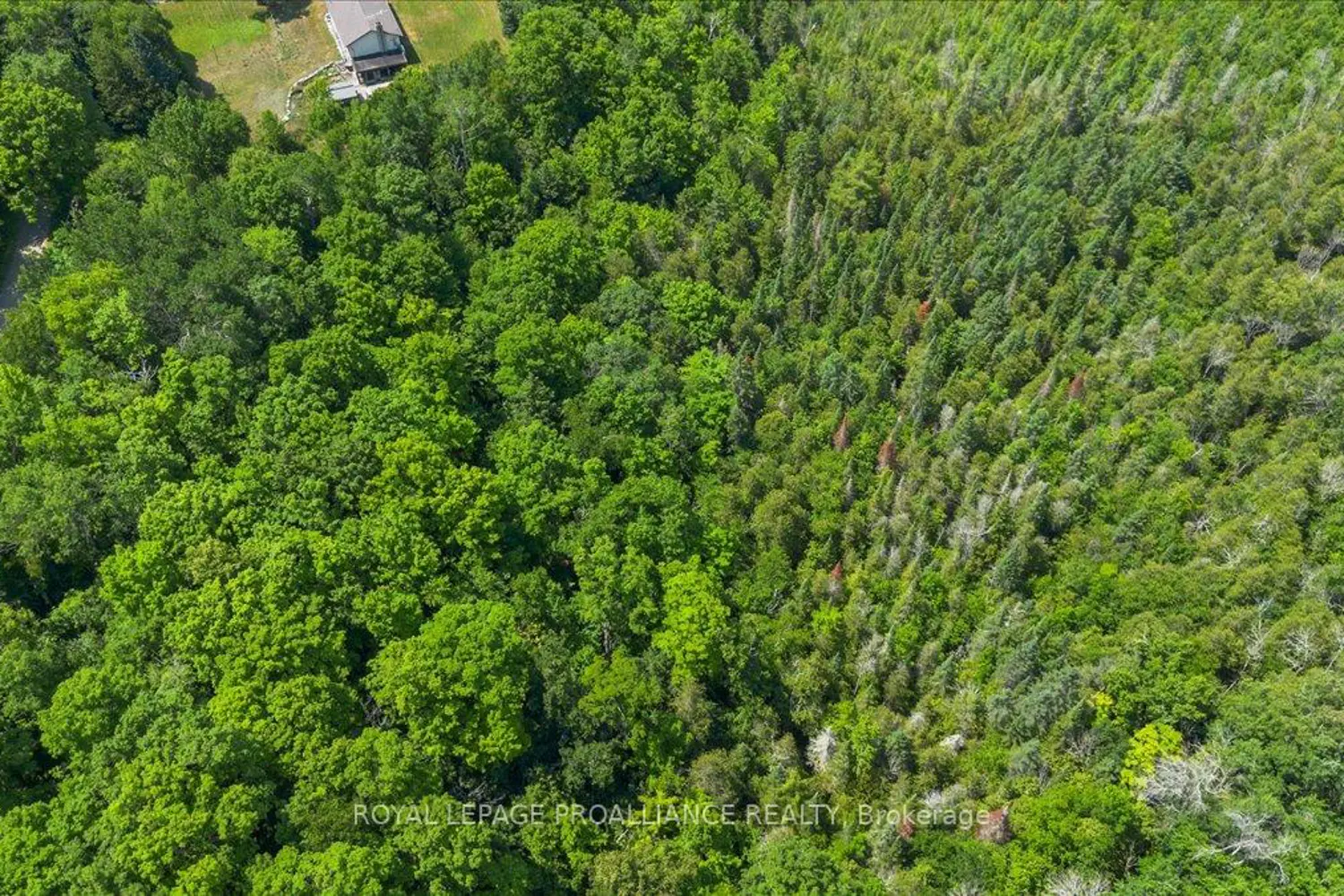 Additional image 5 of 0 Rapids Court