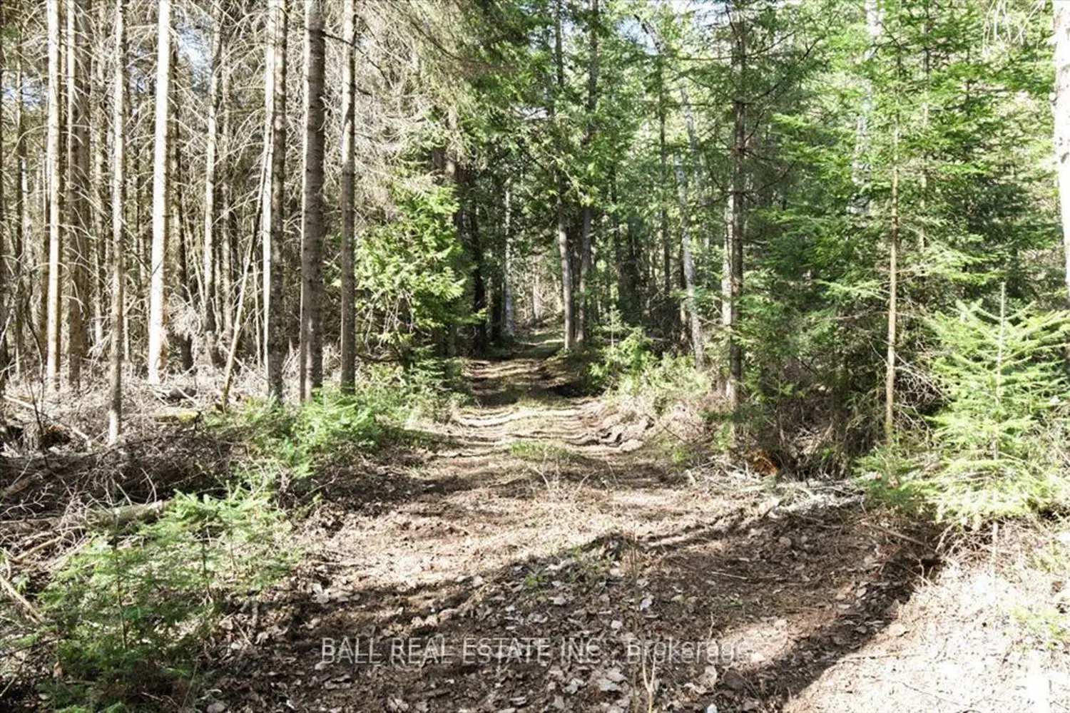 Additional image 9 of 0 Clydesdale Road