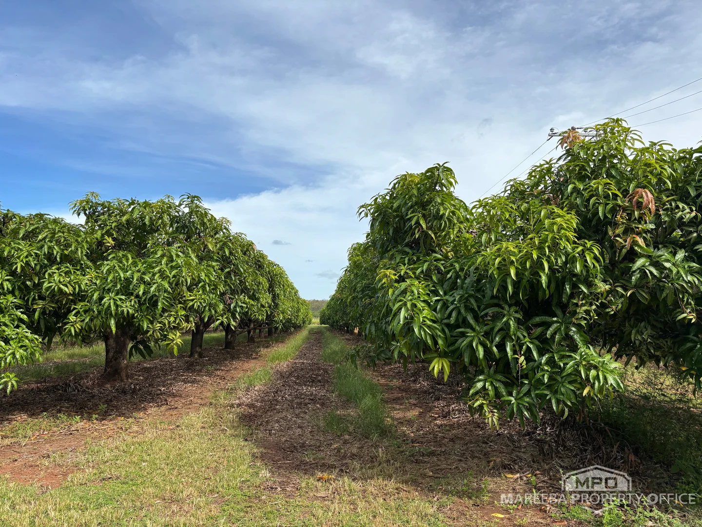 Additional image 17 of 446 Chewko Road, Mareeba QLD 4880