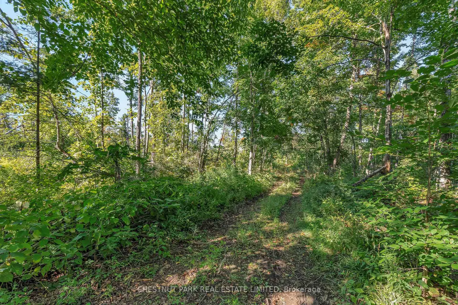 Additional image 18 of 682 Felbers Road