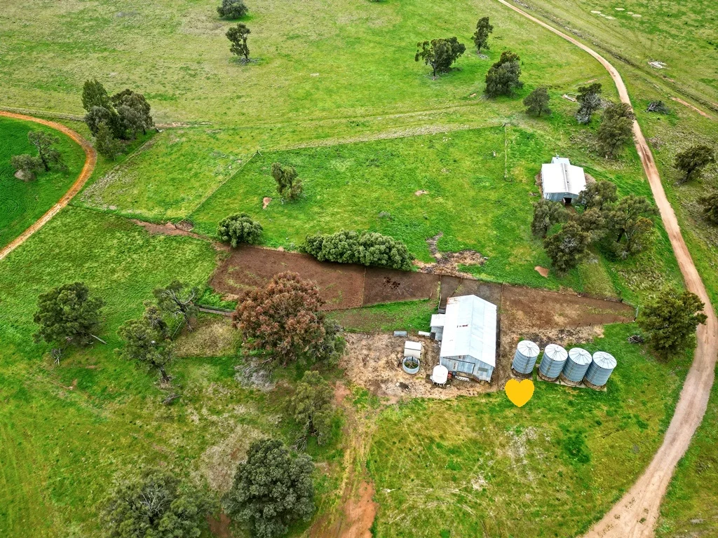 Additional image 16 of 594 Burrangong Lane, Bland NSW 2721