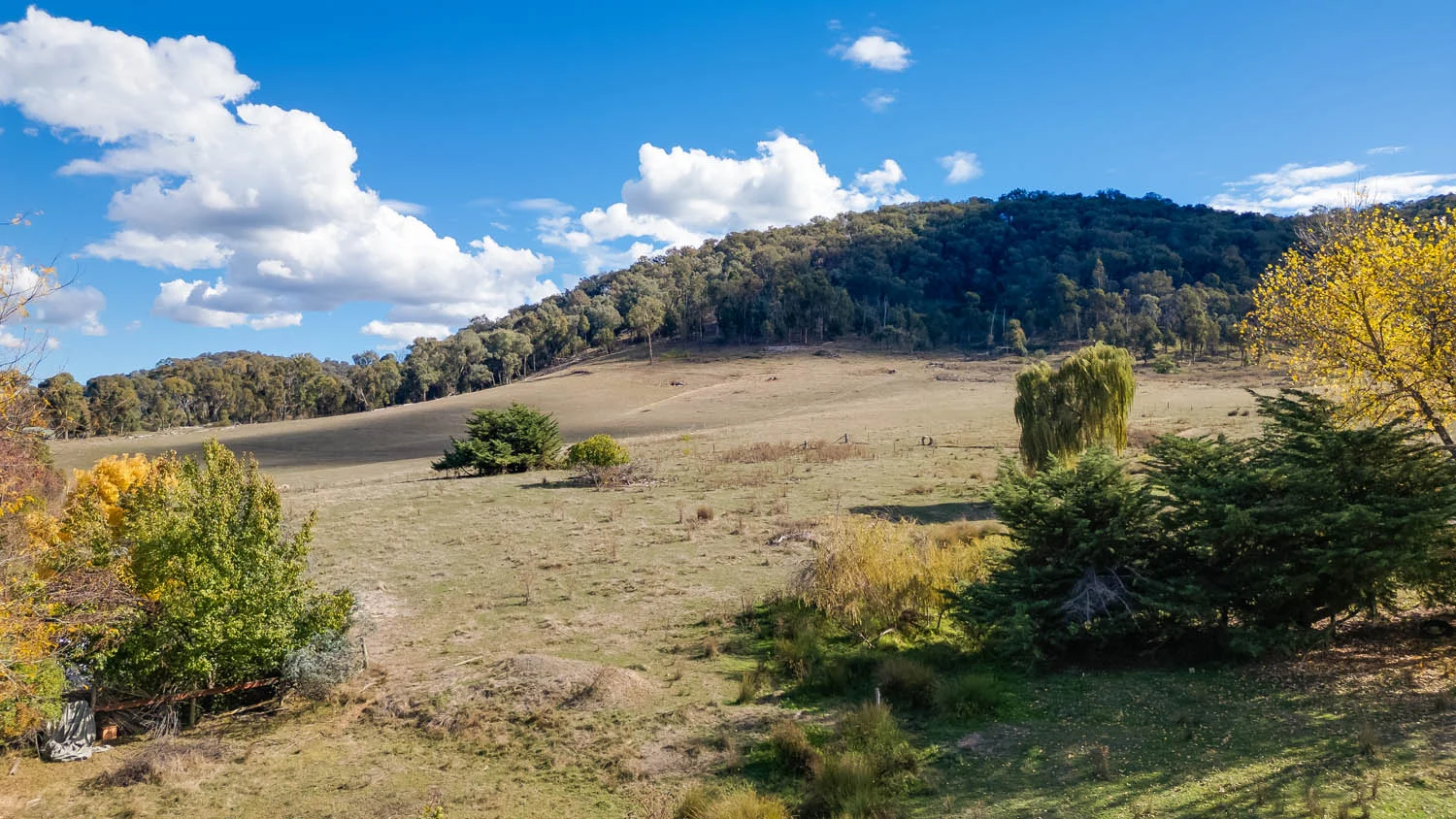 Additional image 3 of 84 Twist Creek Road, Yackandandah VIC 3749
