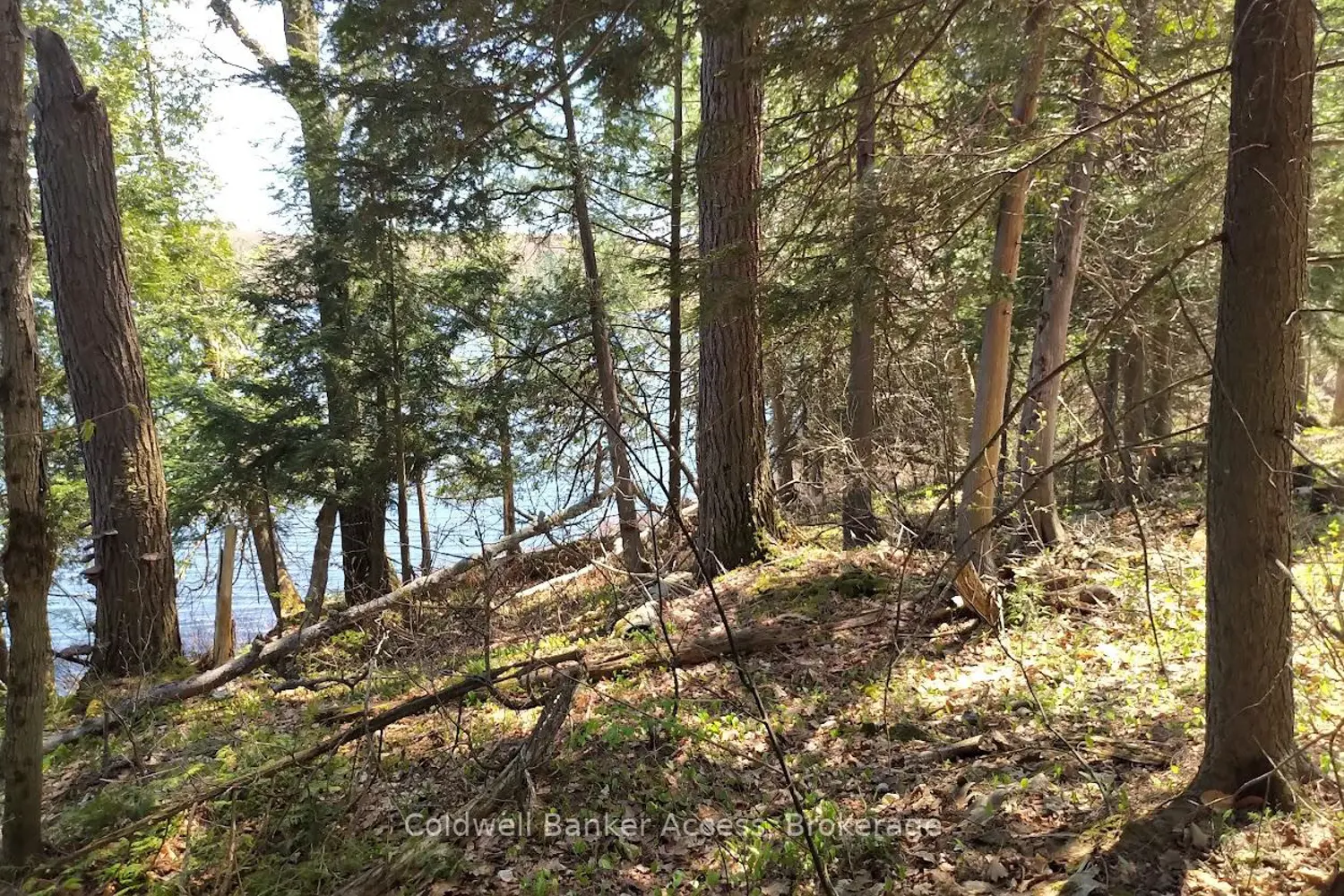 Additional image 8 of 153 Highway 124