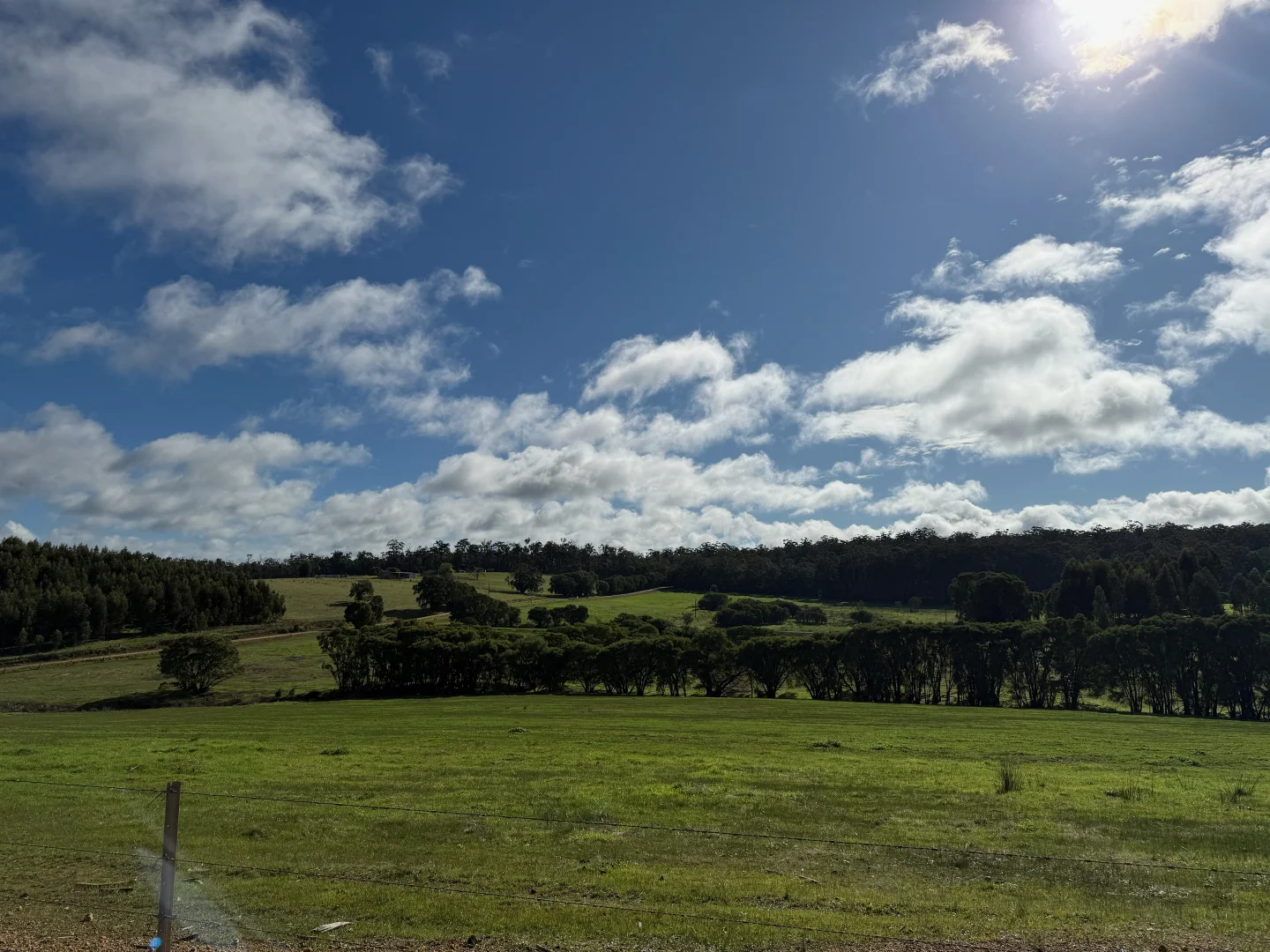 Additional image 19 of 228 Peppermint Grove Road, Middlesex WA 6258