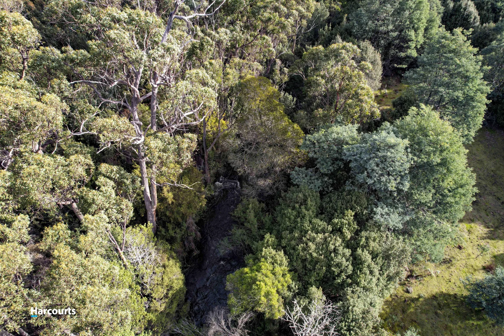 Additional image 12 of 623 Denison Road, Lonnavale TAS 7109