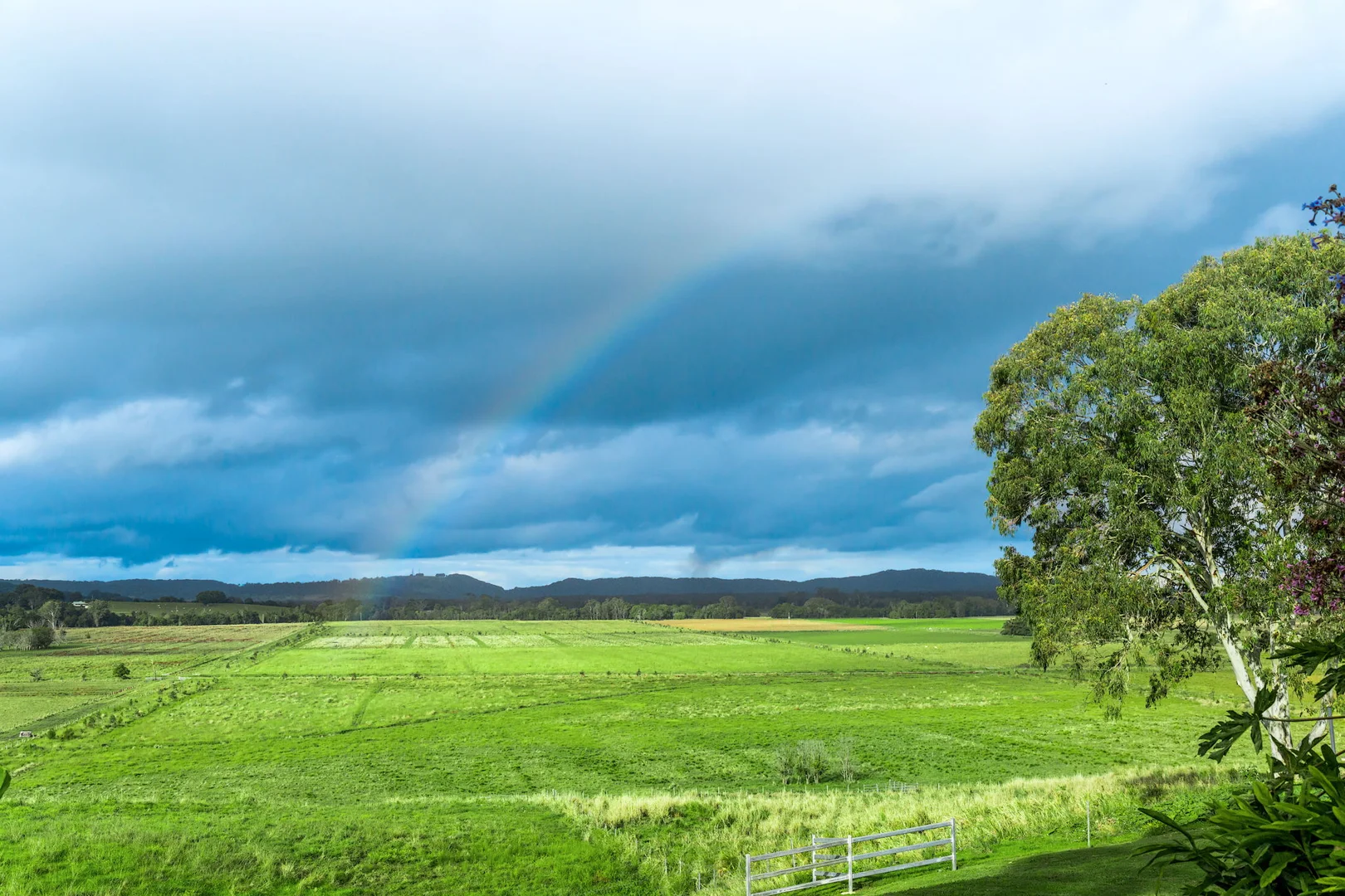 Additional image 61 of 1368 Wyrallah road, Tucki Tucki NSW 2480