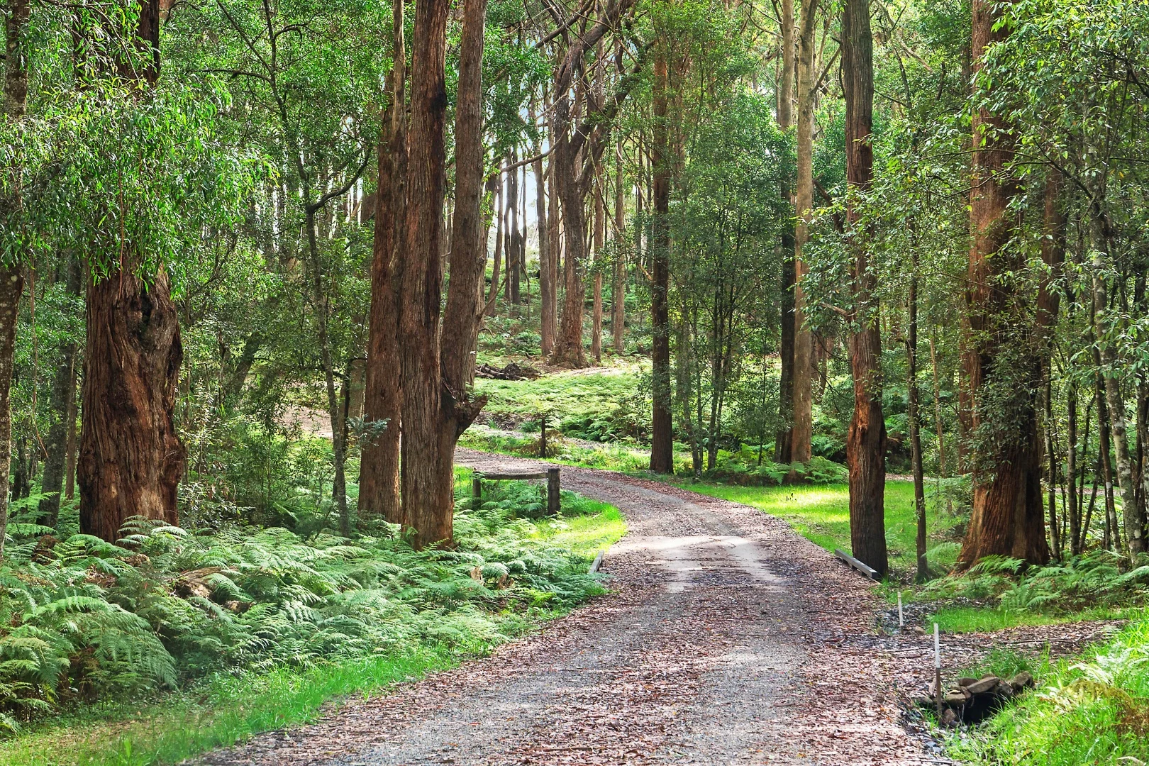 Additional image 26 of 51 & 53 Shierlaw Road, Robertson NSW 2577