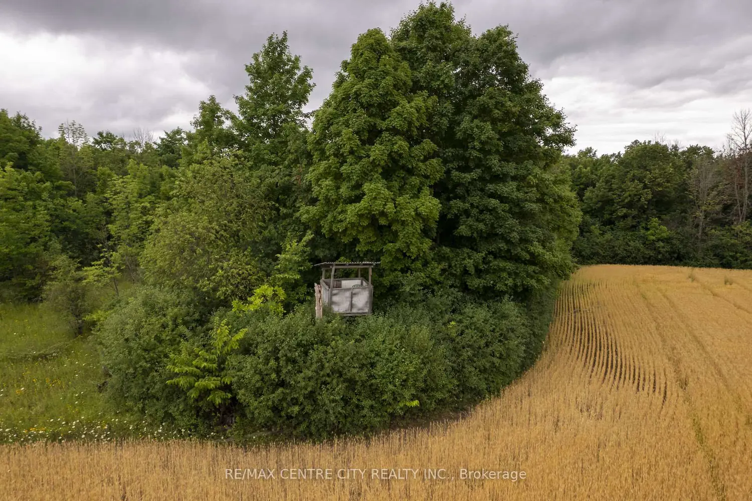 Additional image 15 of Pt Lt 6 Concession 8 Road