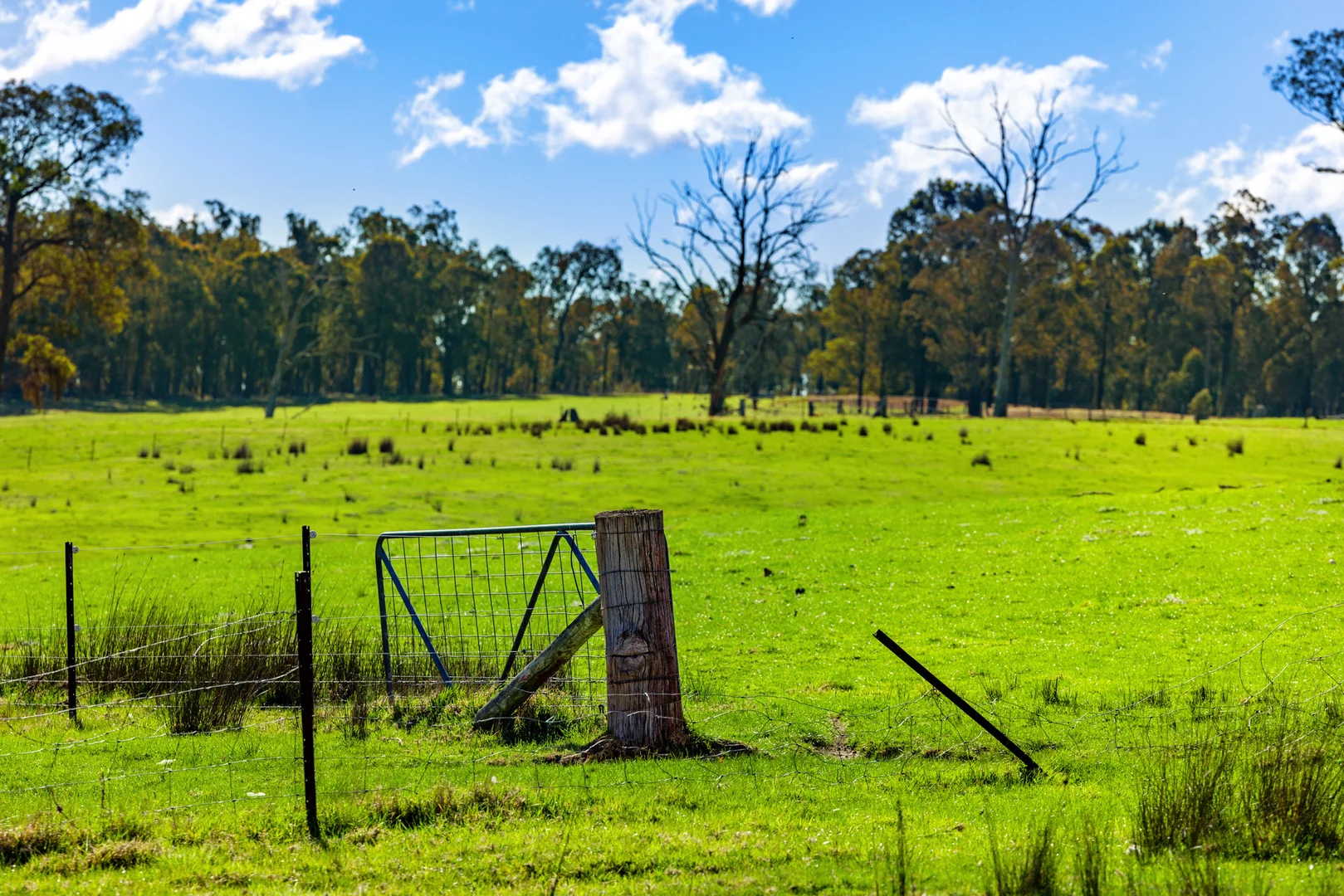 Additional image 41 of 151 Wattle Hill Road, Buchan South VIC 3885