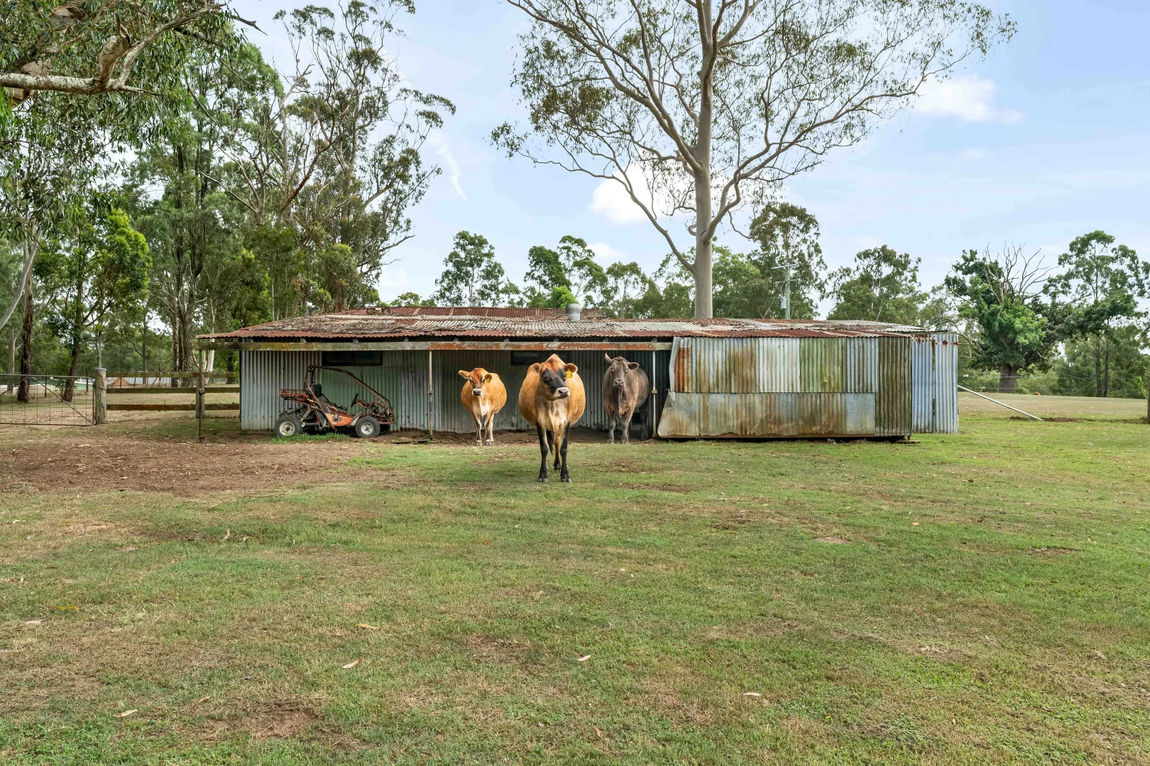 Additional image 4 of 427 Wollombi Road, Farley NSW 2320