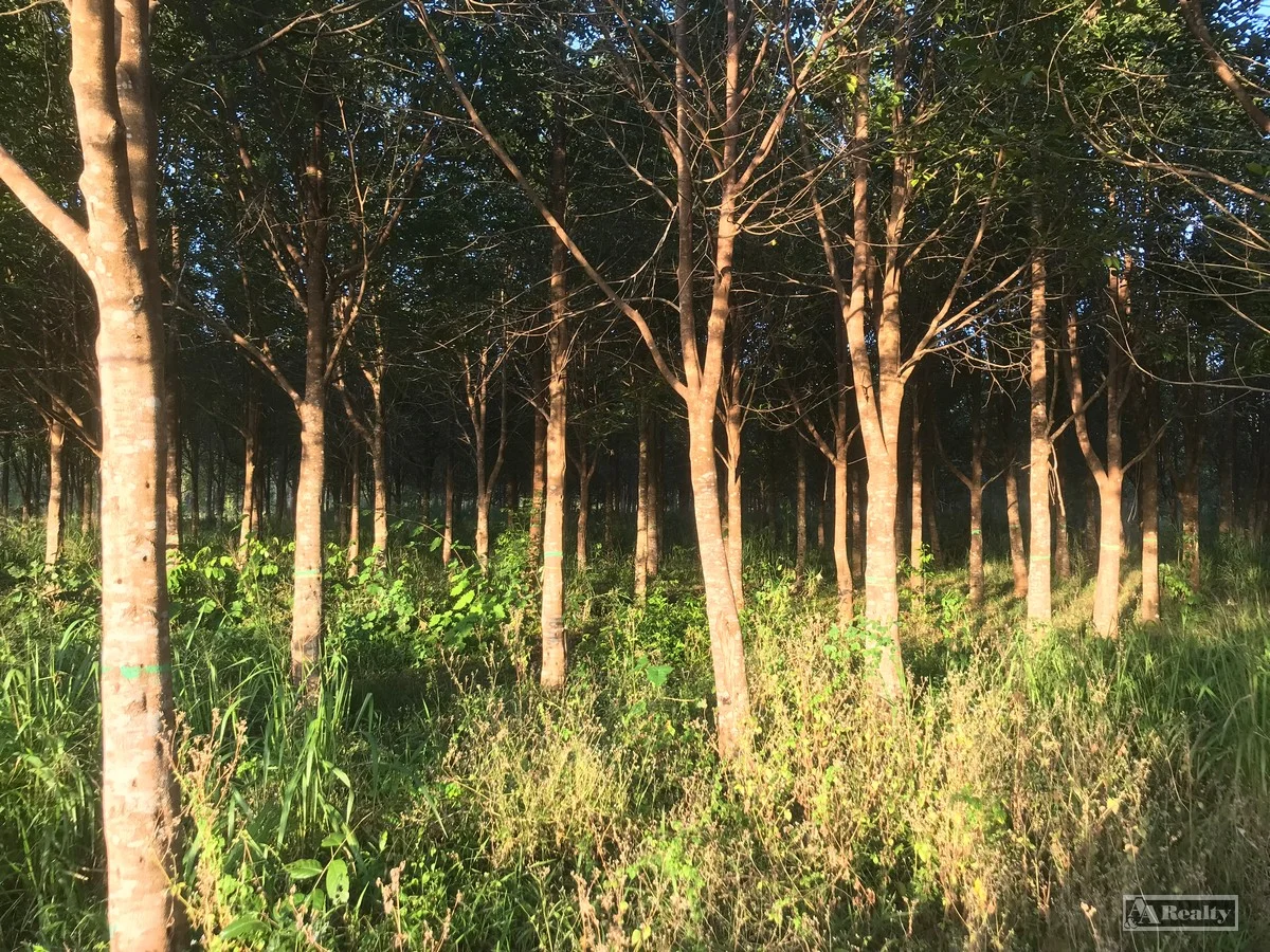 Additional image 5 of L15 Broccardo Road, Garradunga QLD 4860