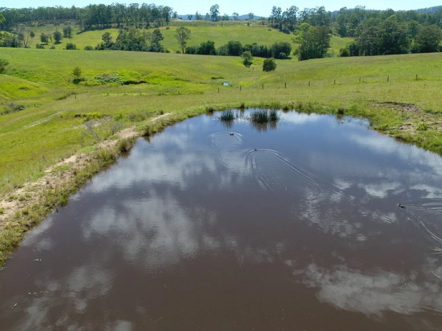 Additional image 11 of 2033 The Bucketts Way, Weismantels NSW 2415