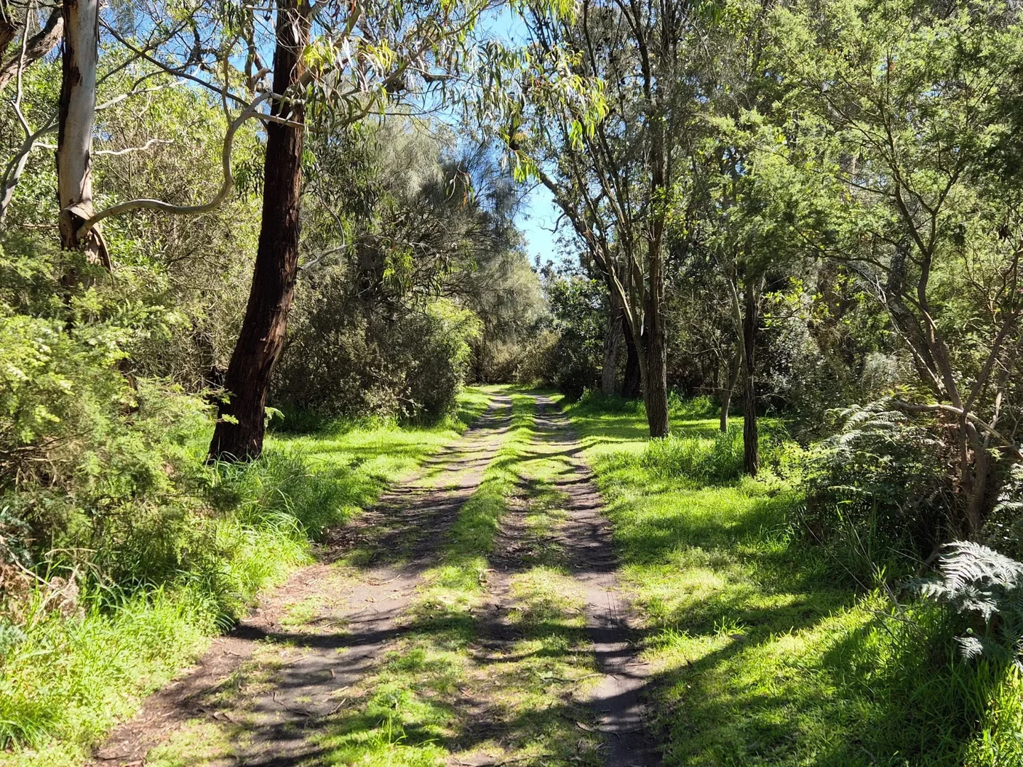 Additional image 17 of 417 McBurnie and Boags Road, Tarwin Lower VIC 3956