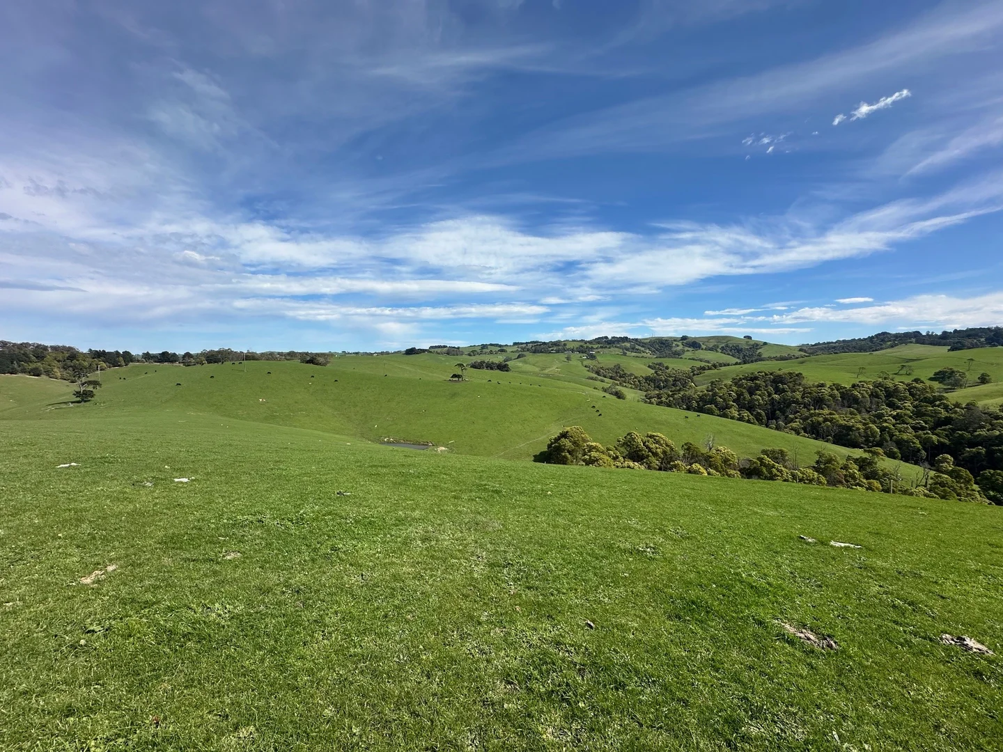 Additional image 5 of 3655 South Gippsland Highway, Foster VIC 3960