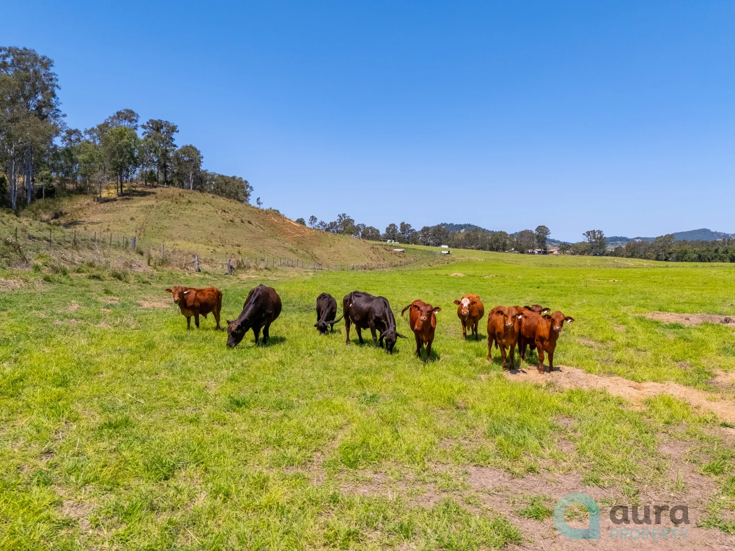 Additional image 9 of 18 Calico Creek Road, Long Flat QLD 4570