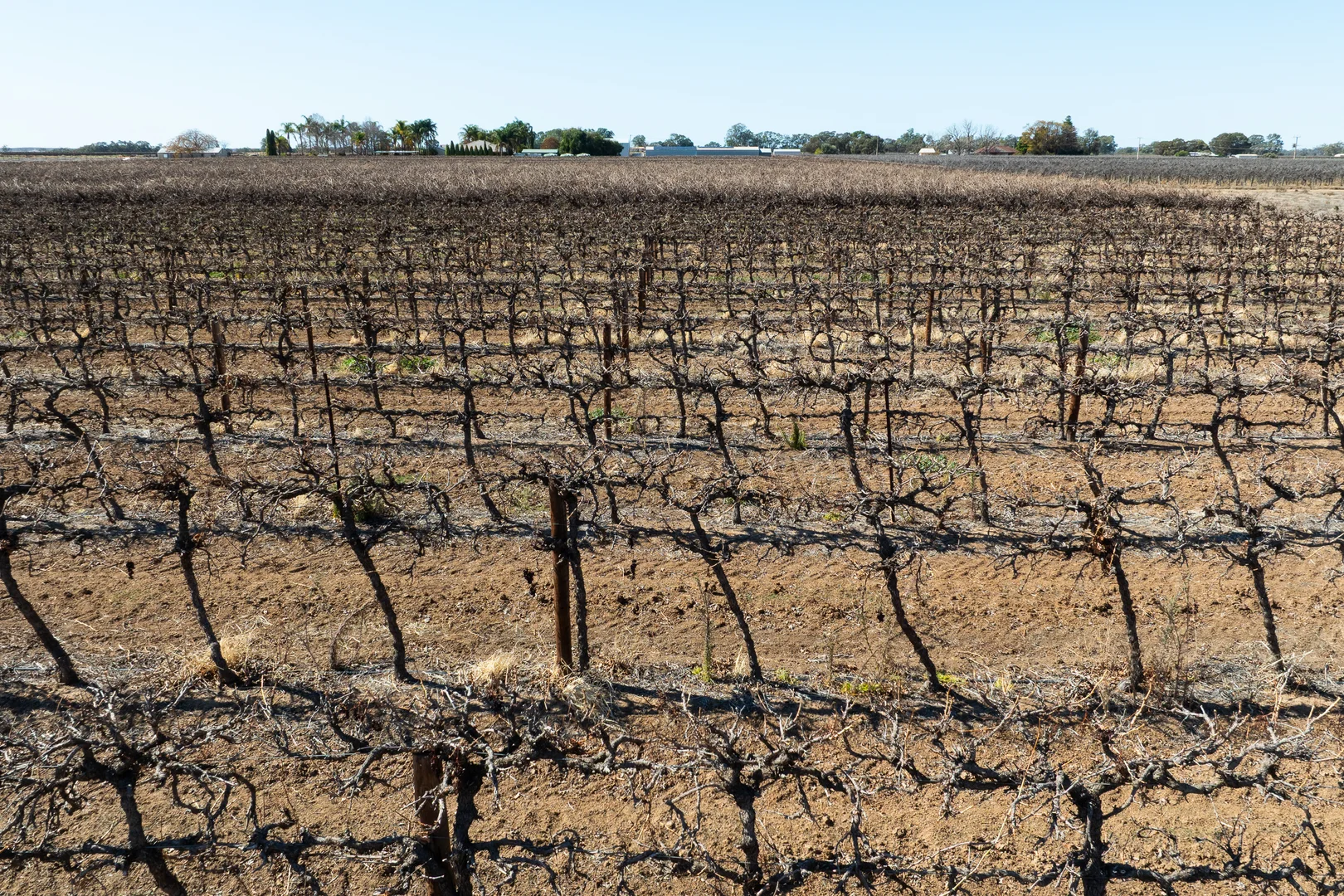 Additional image 40 of 229 Morgan Road, Cobdogla SA 5346