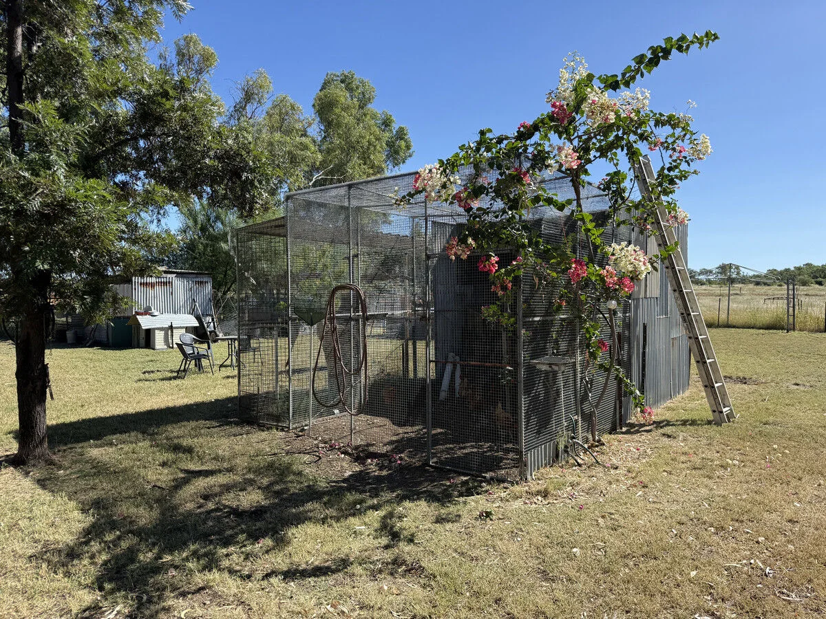 Additional image 21 of 17 Voss Street, Prairie QLD 4821